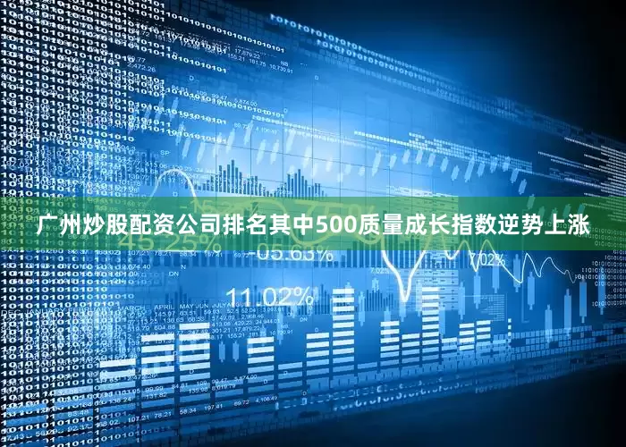 广州炒股配资公司排名其中500质量成长指数逆势上涨